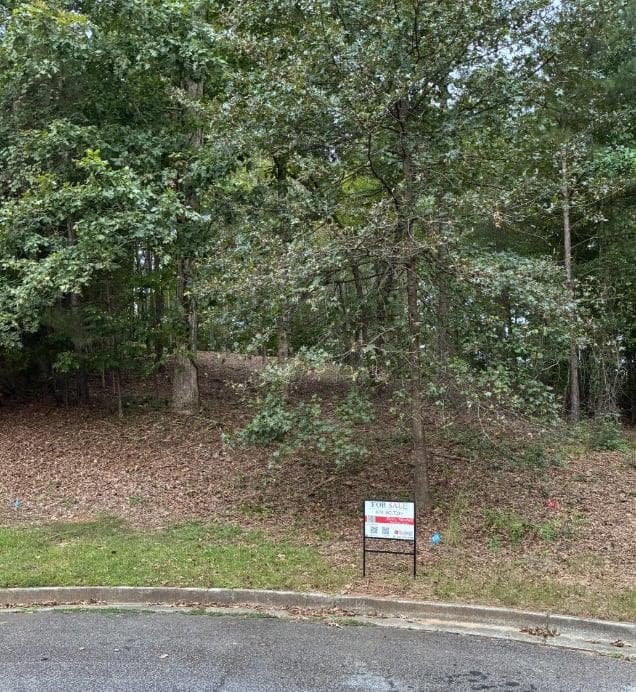 unimproved land for sale at 126 Big Cotton Trail, Mcdonough, GA 30252 — photo 7