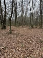 other for sale at 0 Center Road, Cartersville, GA 30121 — photo 4