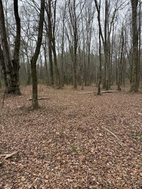 other for sale at 0 Center Road, Cartersville, GA 30121 — photo 3