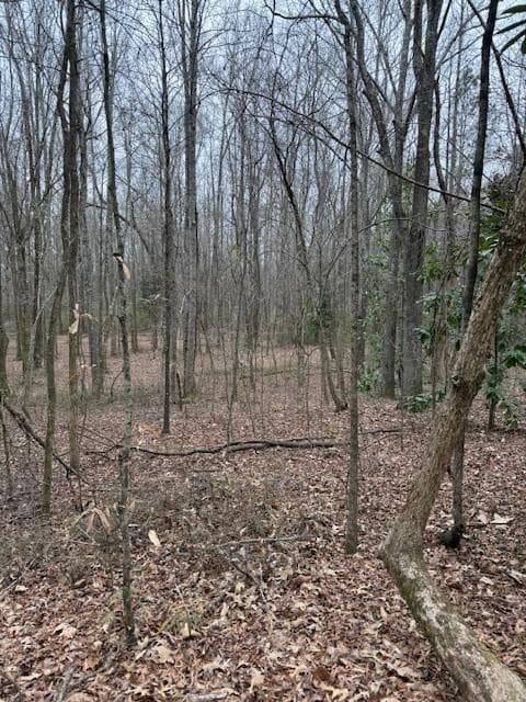 other for sale at 0 Center Road, Cartersville, GA 30121 — photo 4