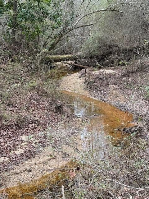 other for sale at 0 Center Road, Cartersville, GA 30121 — photo 6