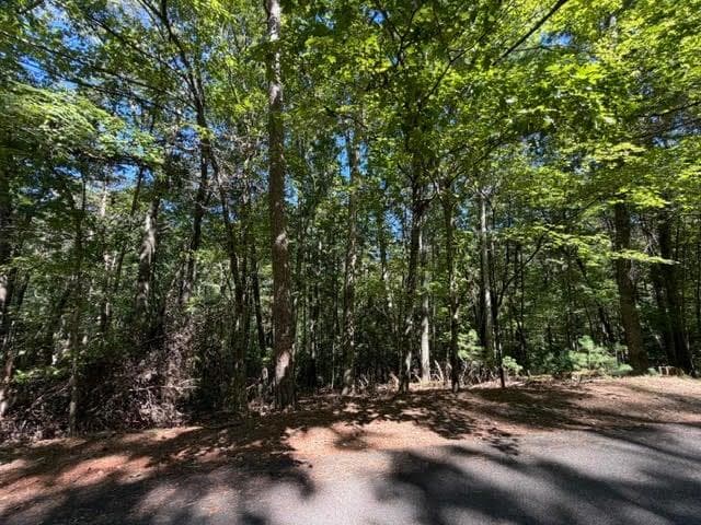 unimproved land for sale at 305 Seneca Drive, Ellijay, GA 30540