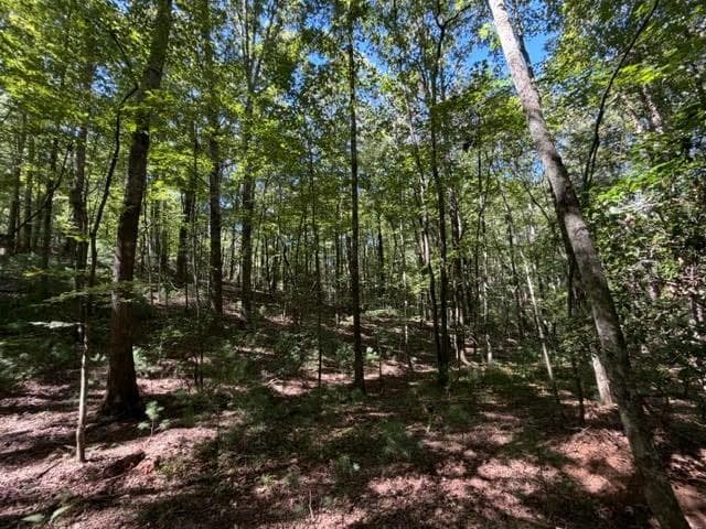 unimproved land for sale at 305 Seneca Drive, Ellijay, GA 30540 — photo 2