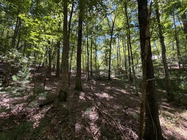unimproved land for sale at 305 Seneca Drive, Ellijay, GA 30540 — photo 3
