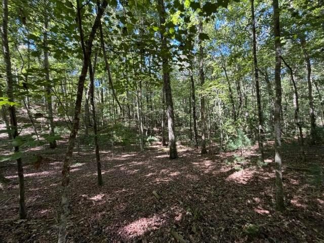 unimproved land for sale at 305 Seneca Drive, Ellijay, GA 30540 — photo 5