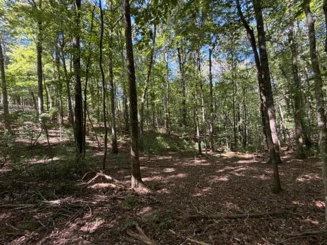 unimproved land for sale at 305 Seneca Drive, Ellijay, GA 30540 — photo 6