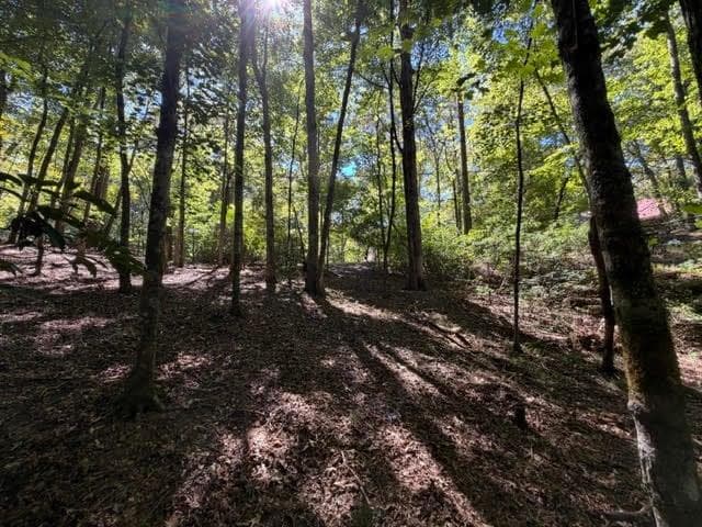 unimproved land for sale at 305 Seneca Drive, Ellijay, GA 30540 — photo 7