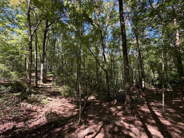 unimproved land for sale at 305 Seneca Drive, Ellijay, GA 30540 — photo 8