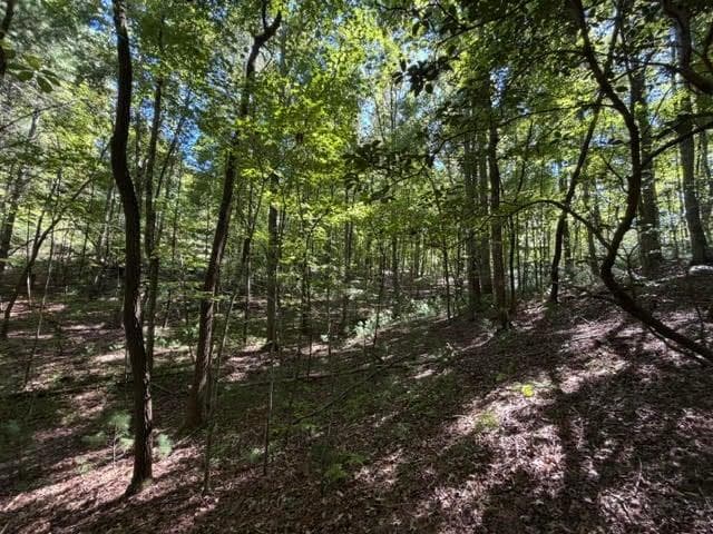 unimproved land for sale at 305 Seneca Drive, Ellijay, GA 30540 — photo 9