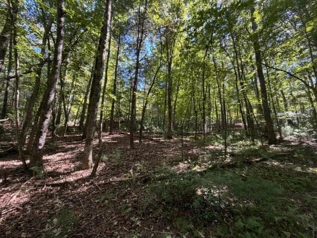 unimproved land for sale at 305 Seneca Drive, Ellijay, GA 30540 — photo 10