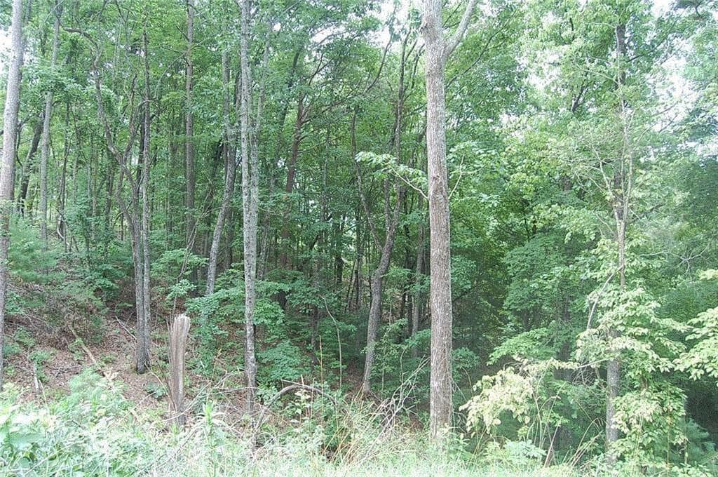 single family residence for sale at 384 Back Pine Way, Ellijay, GA 30540 — photo 2