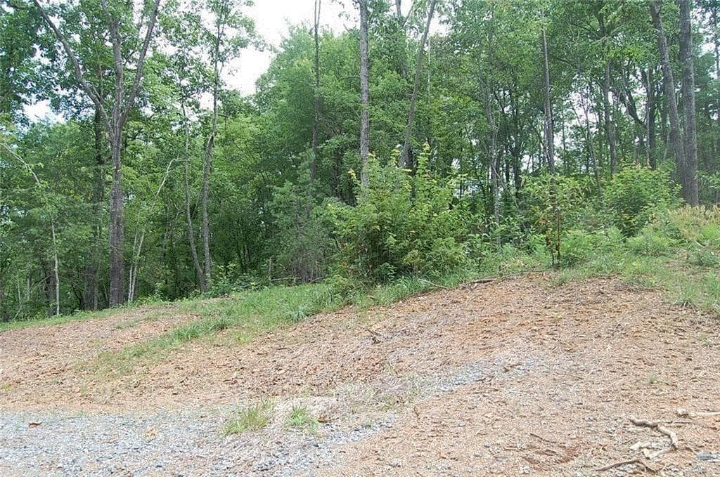 single family residence for sale at 384 Back Pine Way, Ellijay, GA 30540 — photo 4