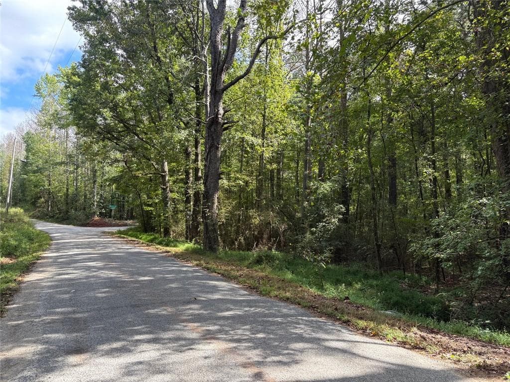 unimproved land for sale at 002 Bullock Farm Road, Dallas, GA 30157 — photo 4