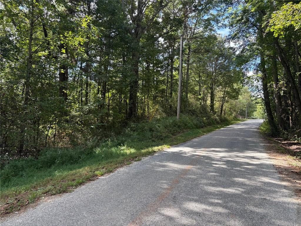 unimproved land for sale at 002 Bullock Farm Road, Dallas, GA 30157 — photo 5
