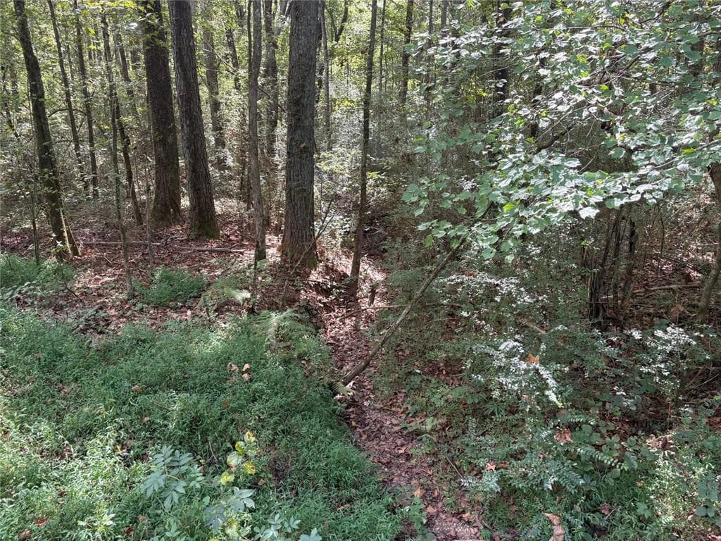 unimproved land for sale at 002 Bullock Farm Road, Dallas, GA 30157 — photo 6