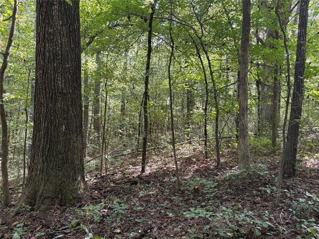 unimproved land for sale at 002 Bullock Farm Road, Dallas, GA 30157 — photo 7