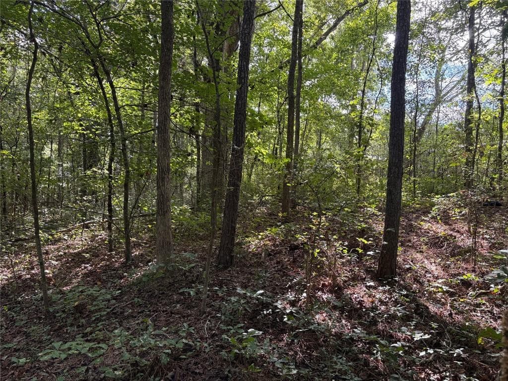 unimproved land for sale at 002 Bullock Farm Road, Dallas, GA 30157 — photo 8