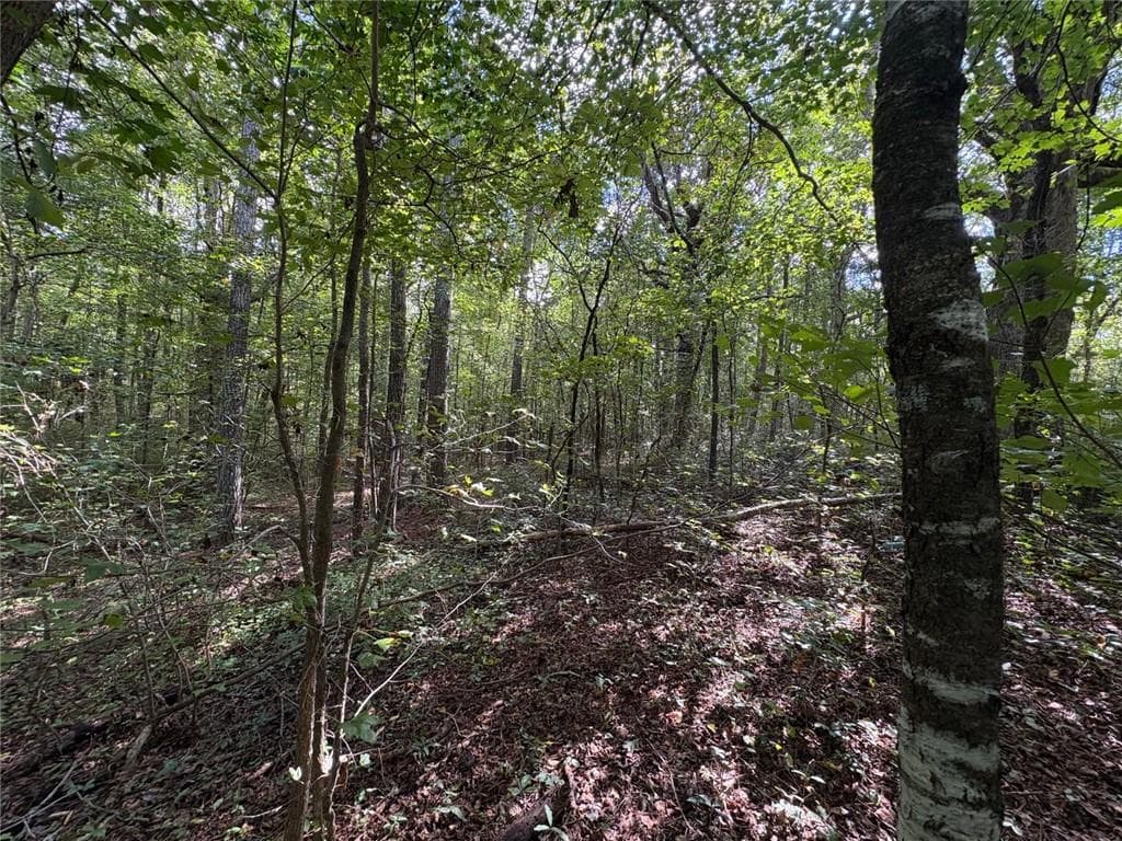unimproved land for sale at 002 Bullock Farm Road, Dallas, GA 30157 — photo 9