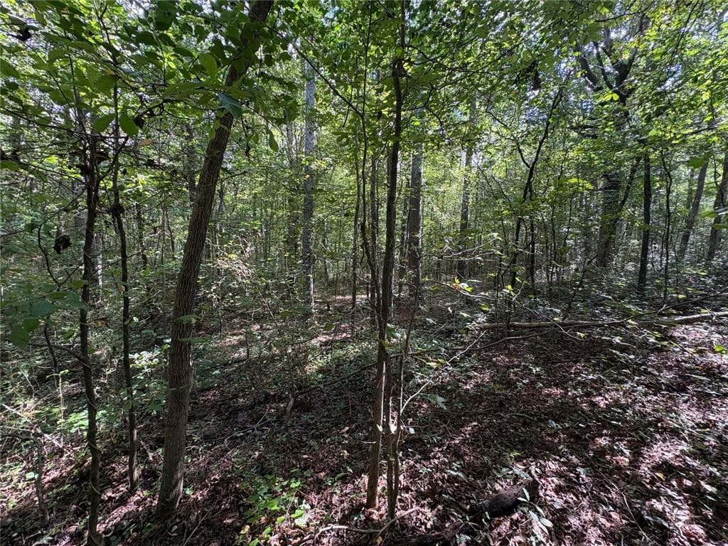 unimproved land for sale at 002 Bullock Farm Road, Dallas, GA 30157 — photo 10