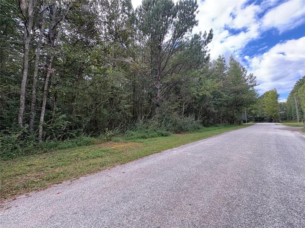 unimproved land for sale at 001 Bullock Farm Road, Dallas, GA 30157 — photo 5