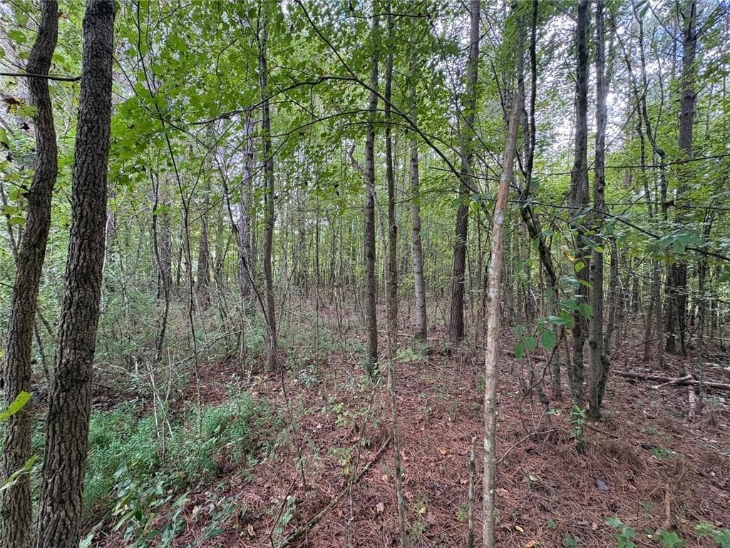 unimproved land for sale at 001 Bullock Farm Road, Dallas, GA 30157 — photo 6