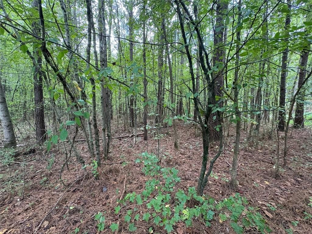 unimproved land for sale at 001 Bullock Farm Road, Dallas, GA 30157 — photo 7