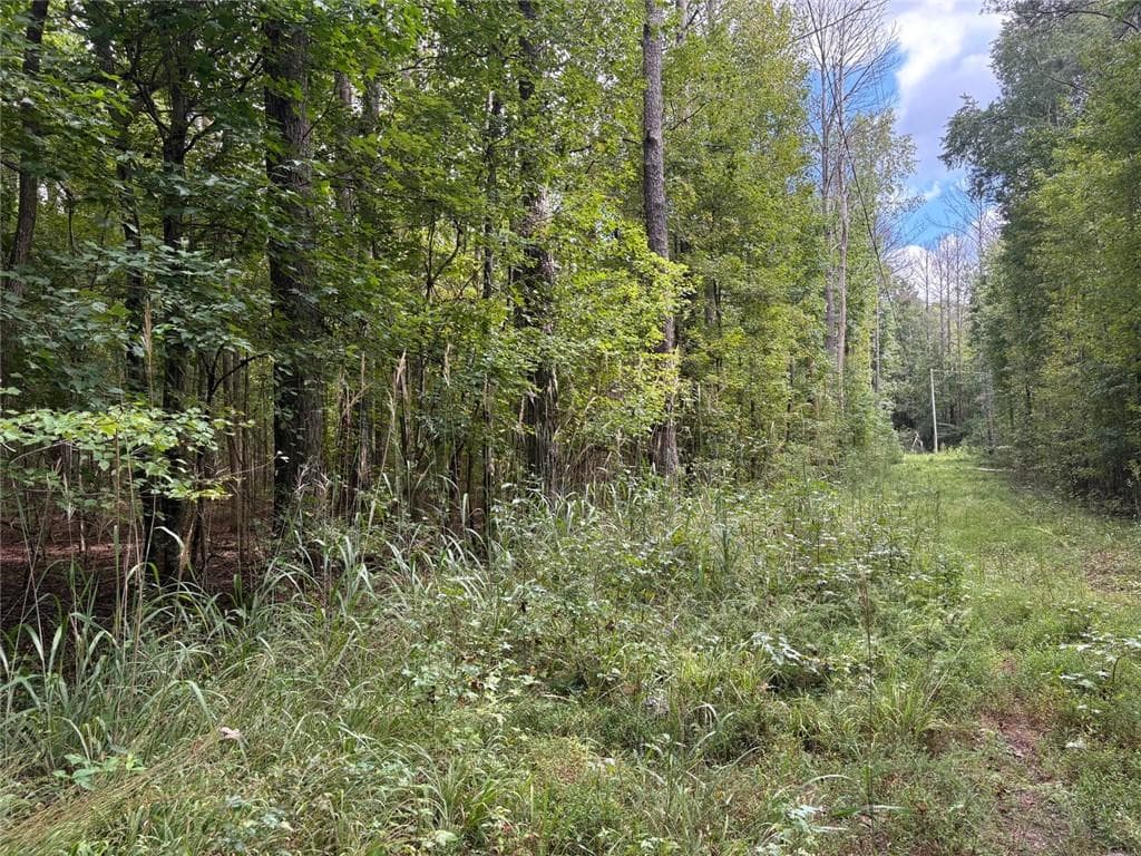 unimproved land for sale at 003 Bullock Farm Road, Dallas, GA 30157 — photo 4