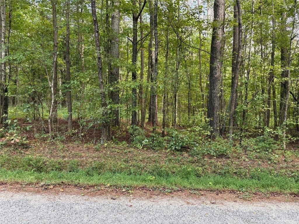 unimproved land for sale at 003 Bullock Farm Road, Dallas, GA 30157 — photo 5