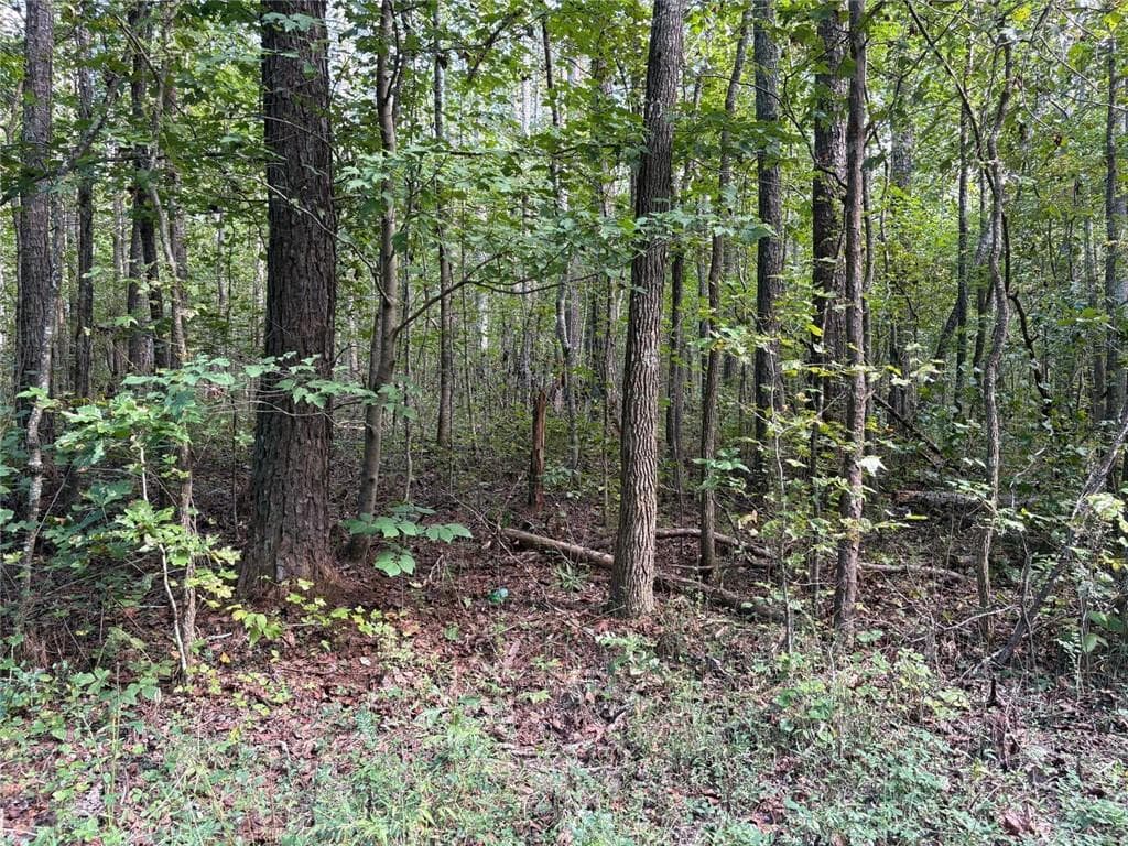 unimproved land for sale at 003 Bullock Farm Road, Dallas, GA 30157 — photo 6