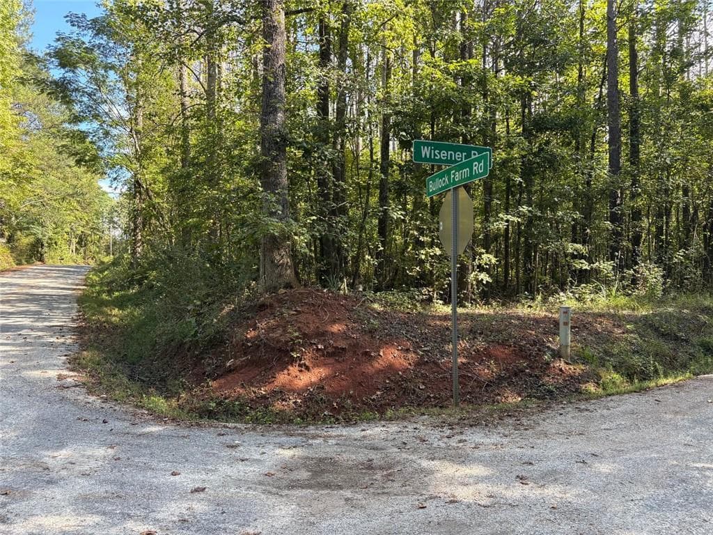unimproved land for sale at 003 Bullock Farm Road, Dallas, GA 30157 — photo 7