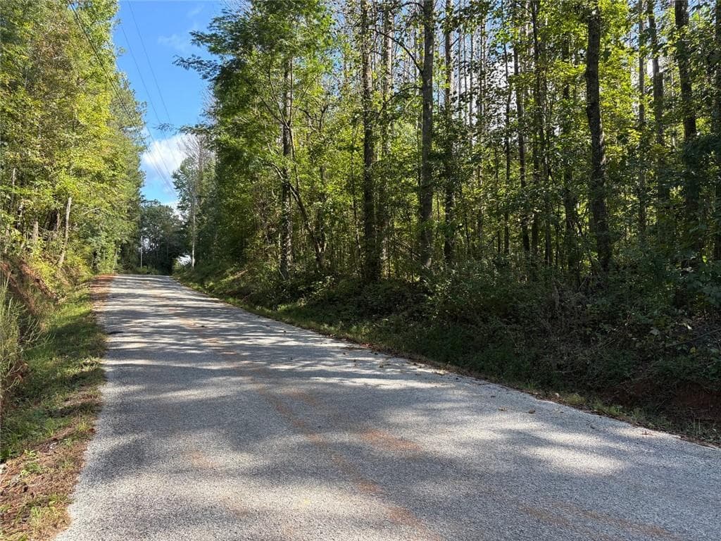 unimproved land for sale at 003 Bullock Farm Road, Dallas, GA 30157 — photo 8
