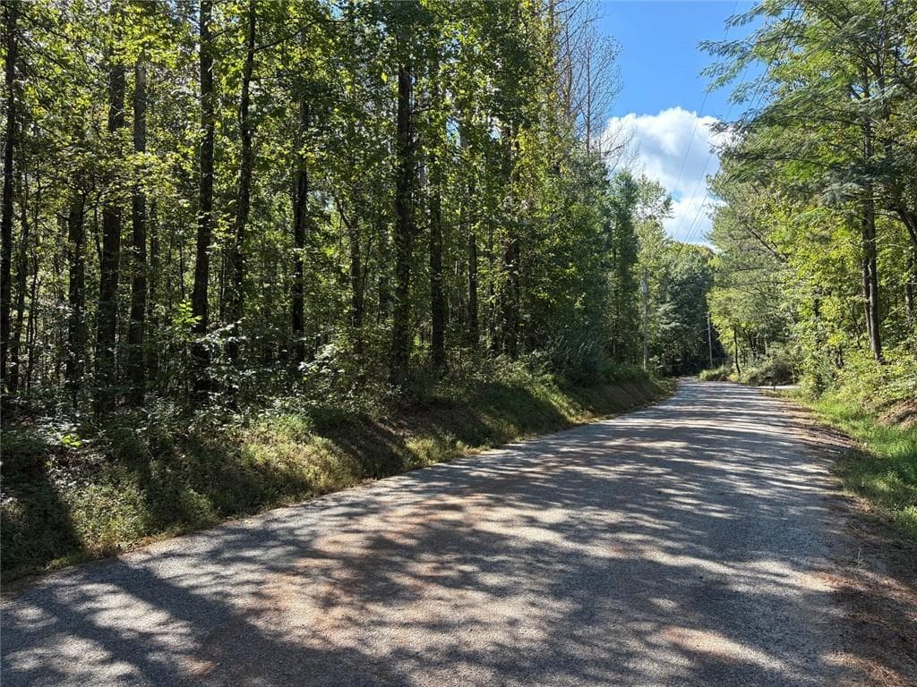 unimproved land for sale at 003 Bullock Farm Road, Dallas, GA 30157 — photo 9