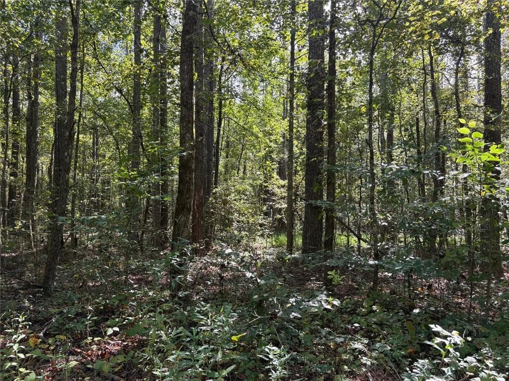 unimproved land for sale at 003 Bullock Farm Road, Dallas, GA 30157 — photo 10