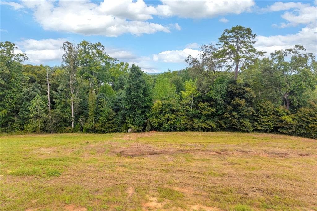 3 bedroom, 2 bathroom, 1,516 sq ft single family residence for sale at 653 Racetrack Road, Toccoa, GA 30577 — photo 6