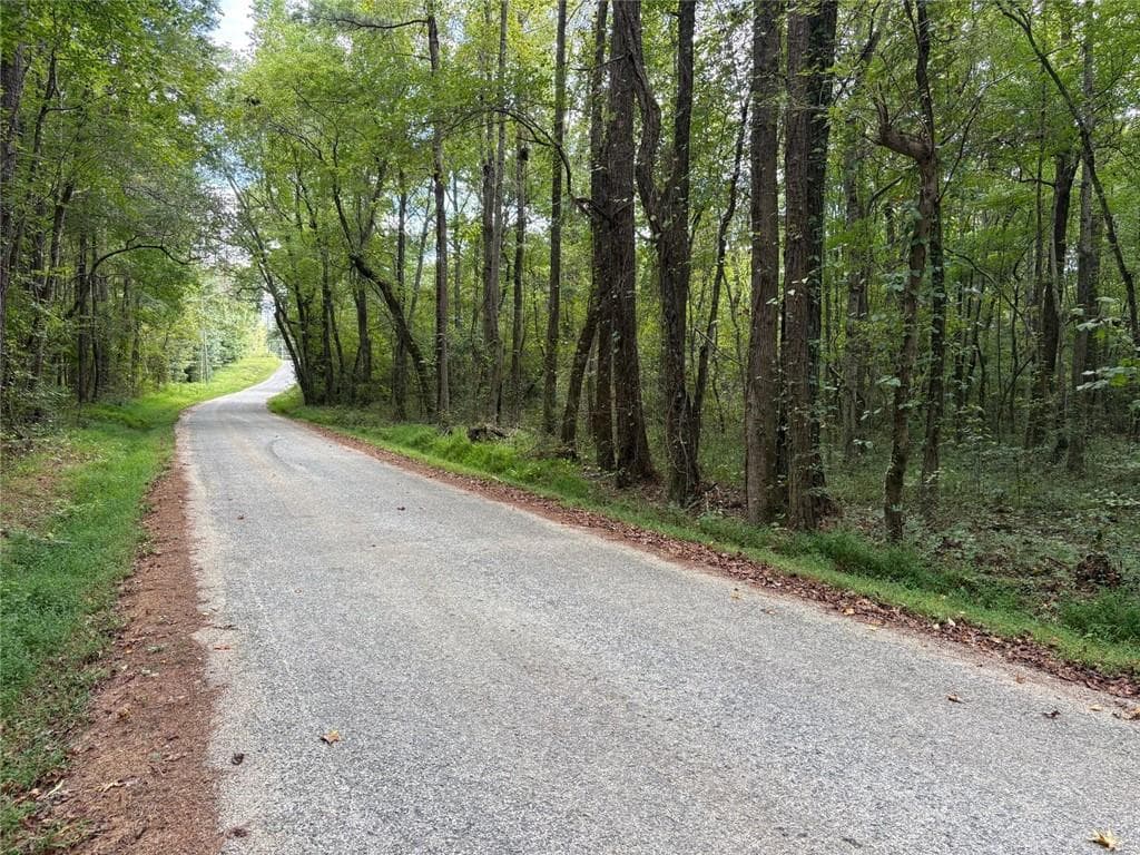 unimproved land for sale at 001 Wisener Road, Dallas, GA 30157 — photo 4