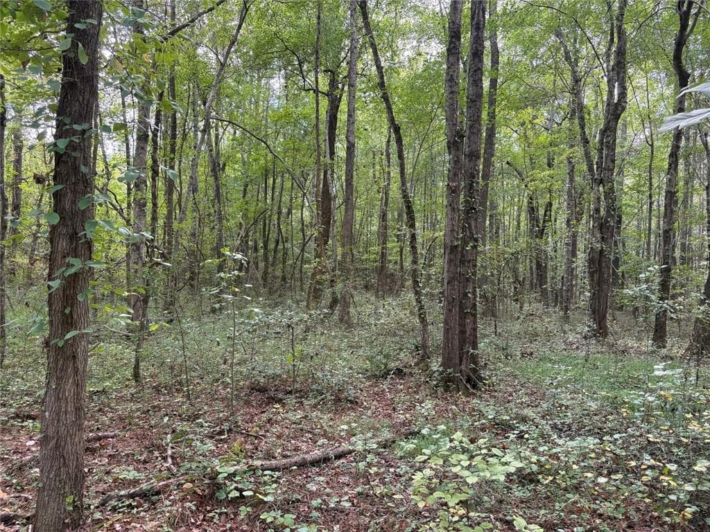 unimproved land for sale at 001 Wisener Road, Dallas, GA 30157 — photo 5