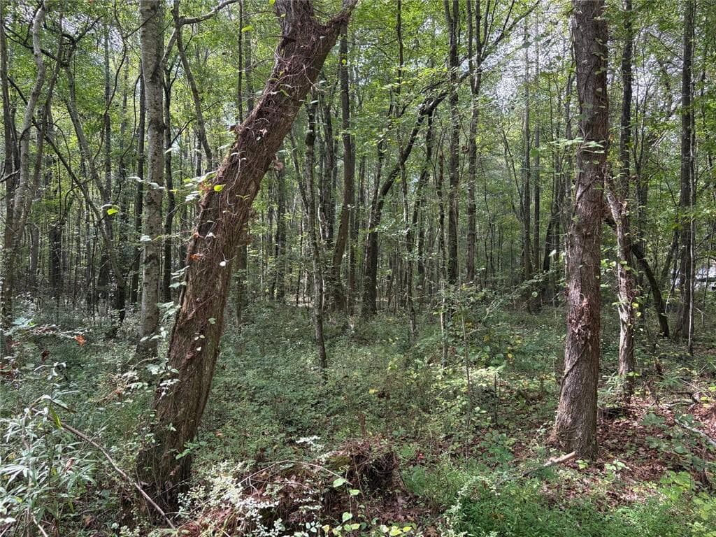 unimproved land for sale at 001 Wisener Road, Dallas, GA 30157 — photo 6