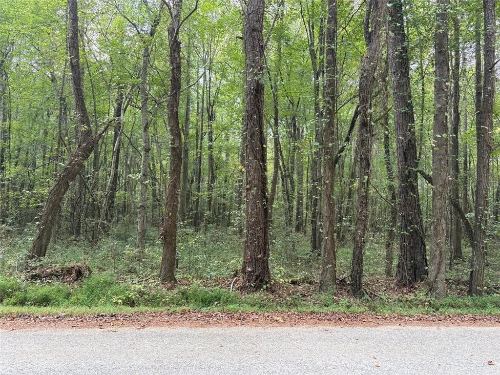 unimproved land for sale at 001 Wisener Road, Dallas, GA 30157 — photo 7
