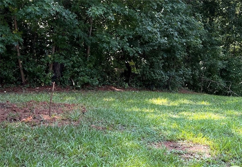 other for sale at 3005 Patty Hollow, Decatur, GA 30034 — photo 3