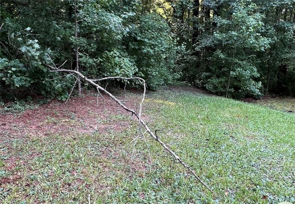 other for sale at 3005 Patty Hollow, Decatur, GA 30034 — photo 4