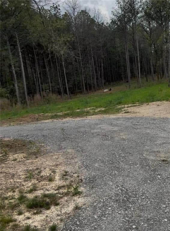 single family residence for sale at 711 Pleasant Valley Road, Adairsville, GA 30103 — photo 3