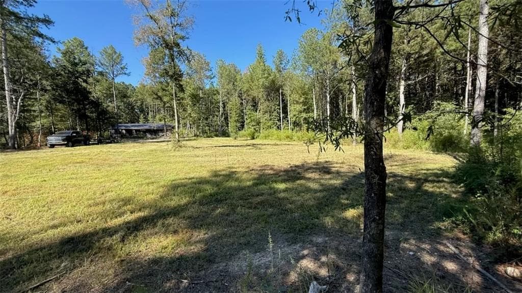 single family residence for sale at 711 Pleasant Valley Road, Adairsville, GA 30103 — photo 8