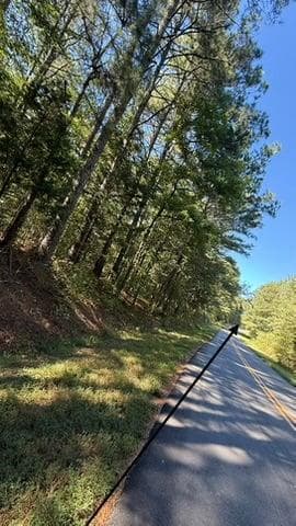 single family residence for sale at 711 Pleasant Valley Road, Adairsville, GA 30103 — photo 10