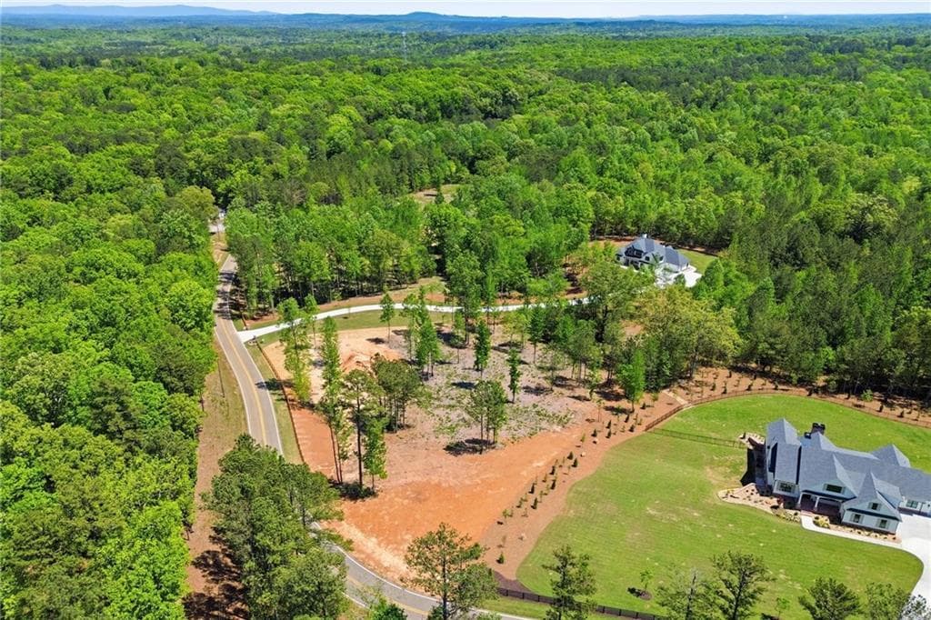 single family residence for sale at 460 Mt. Olive Church Lane, Canton, GA 30114 — photo 4
