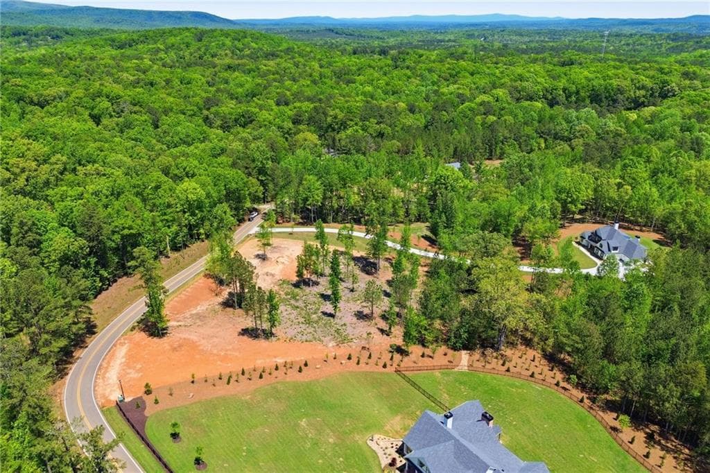 single family residence for sale at 460 Mt. Olive Church Lane, Canton, GA 30114 — photo 5