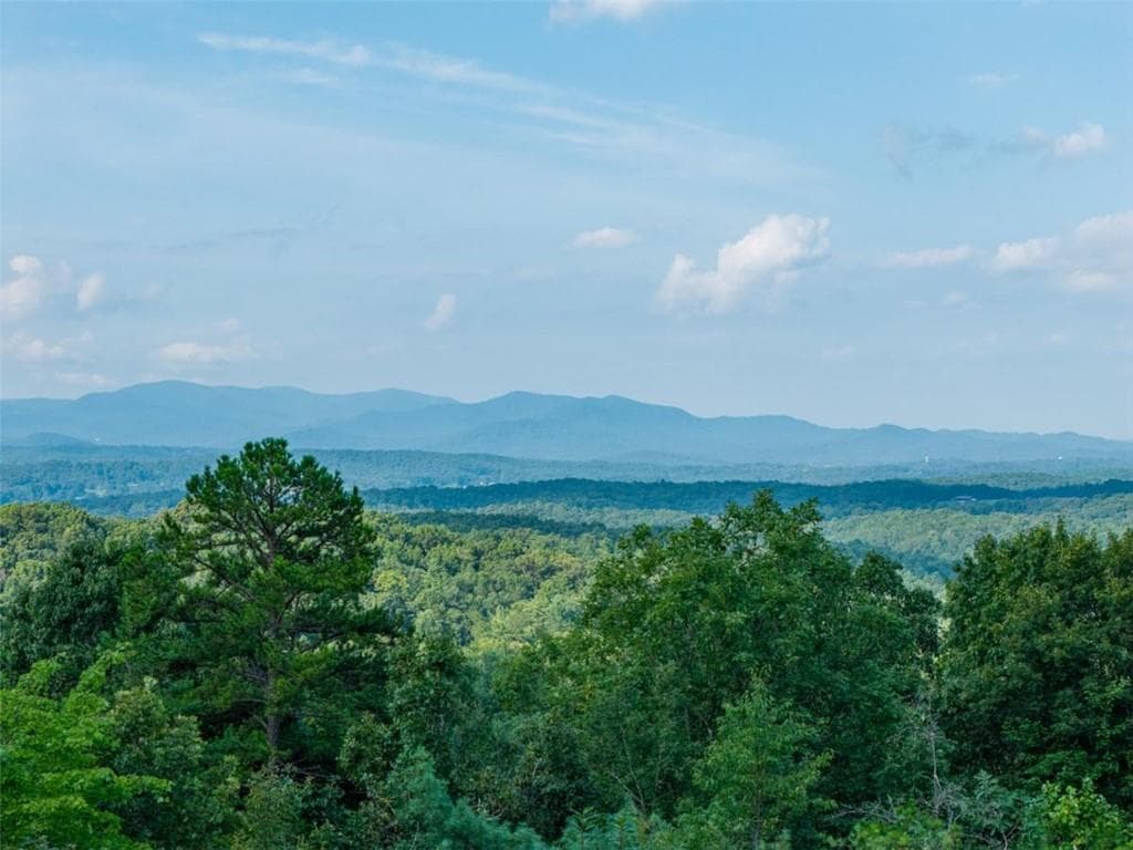 4 bedroom, 2 bathroom, 1,824 sq ft single family residence for sale at 24 Oak Ledge Road, Morganton, GA 30560 — photo 2
