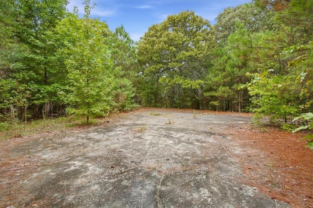 unimproved land for sale at 138 Roy Dean Road, Buchanan, GA 30113 — photo 2