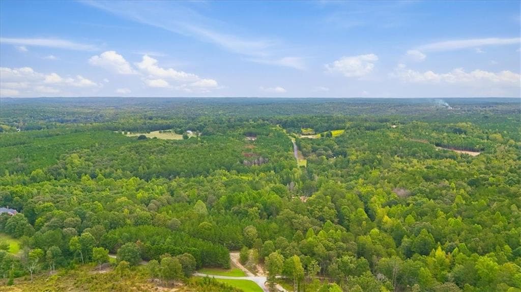 unimproved land for sale at 138 Roy Dean Road, Buchanan, GA 30113 — photo 4