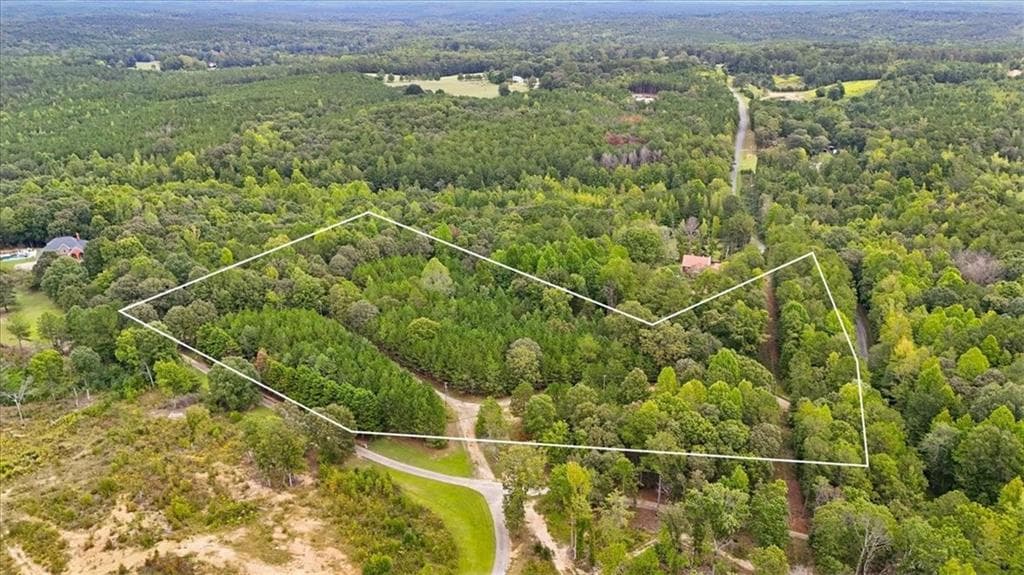unimproved land for sale at 138 Roy Dean Road, Buchanan, GA 30113 — photo 5