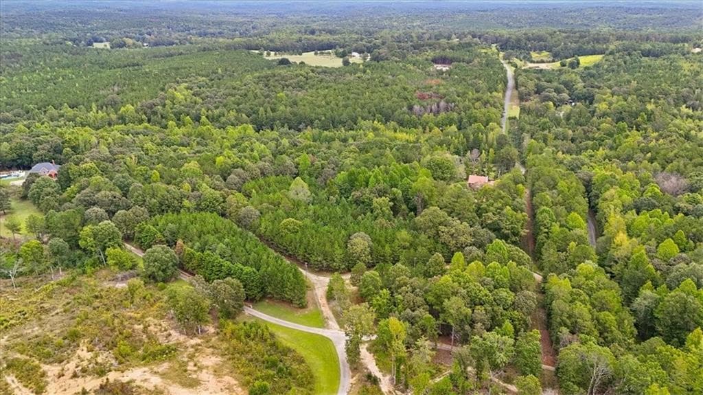 unimproved land for sale at 138 Roy Dean Road, Buchanan, GA 30113 — photo 6